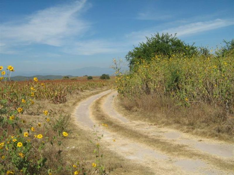 []